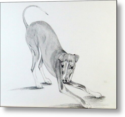 Play Metal Print featuring the drawing Play Time #1 by Sharon Schultz