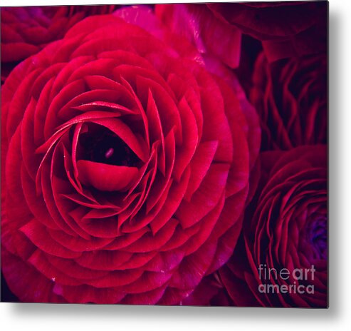 Ruby Metal Print featuring the photograph Ruby Red #1 by Ana V Ramirez