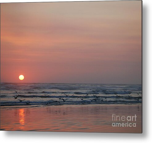 Sunset Metal Print featuring the photograph Seagulls at Sunset #2 by Chuck Flewelling