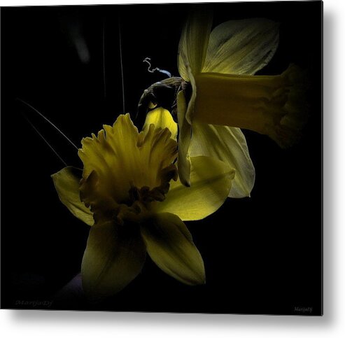 Flowers. Flowers In Pair Metal Print featuring the photograph Silent light by Marija Djedovic