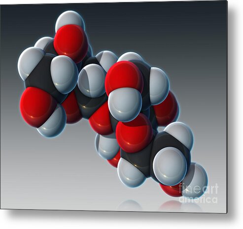 3d Model Metal Print featuring the photograph Sucrose, Molecular Model #1 by Evan Oto