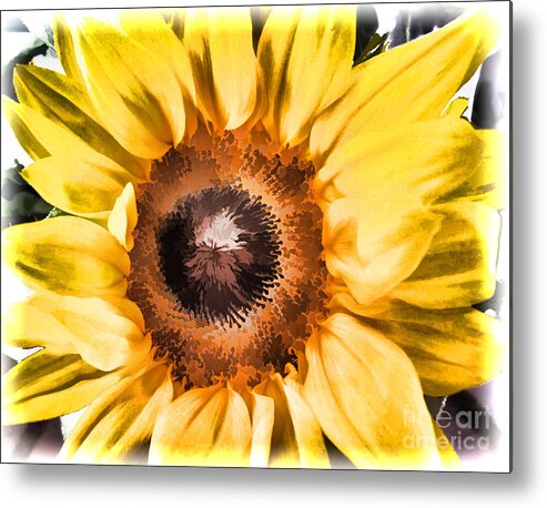 Sunflower Metal Print featuring the photograph Sunflower by Mary Underwood