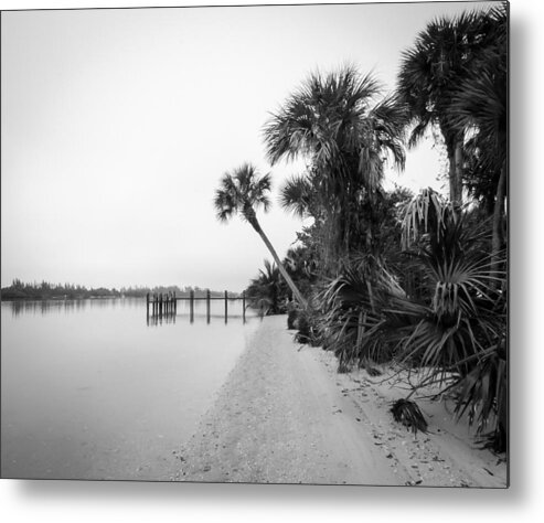 Black And White Metal Print featuring the photograph Untitled #119 by Bill Martin