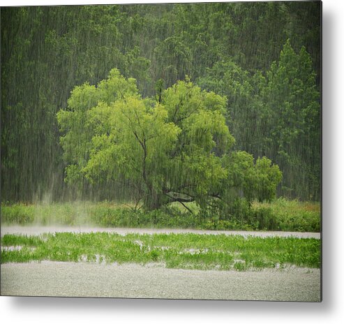 Rain Metal Print featuring the photograph 1307-4983 Rainy Lake Ludwig by Randy Forrester