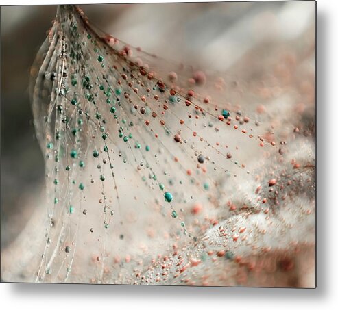 Downy Tufts Metal Print featuring the photograph * #2 by Ivelina Blagoeva