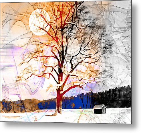 Nag004179 Metal Print featuring the photograph Winter Sun #2 by Edmund Nagele FRPS