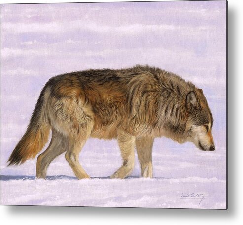 Wolf Metal Print featuring the painting Grey Wolf #4 by David Stribbling