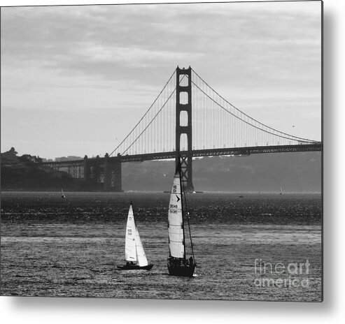 Yachts Metal Print featuring the photograph Sailing San Francisco Bay #4 by Scott Cameron