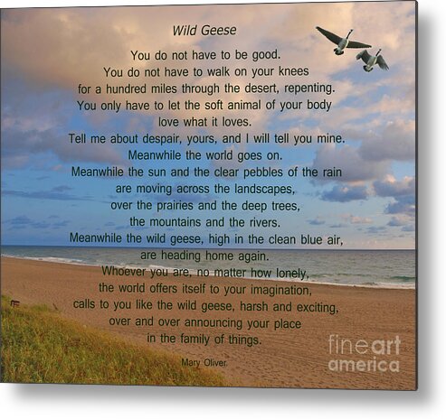 Wild Geese Metal Print featuring the photograph 40- Wild Geese Mary Oliver by Joseph Keane