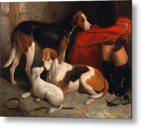 William Barraud Metal Print featuring the painting A Couple of Foxhounds with a Terrier the property of Lord Henry Bentinck by William Barraud