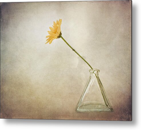 Bloom Metal Print featuring the photograph A Mum by David and Carol Kelly