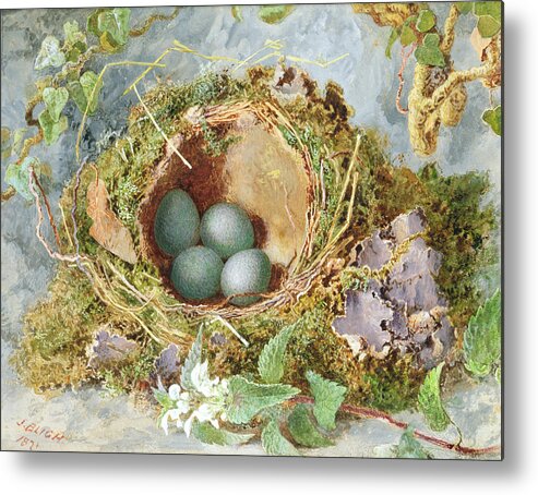 Birds Metal Print featuring the painting A Nest Of Eggs, 1871 by Jabez Bligh
