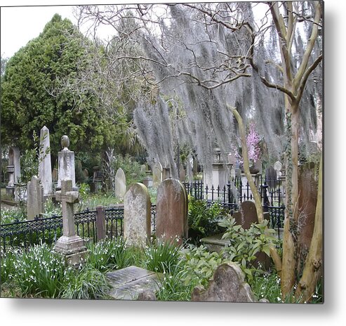 Faith Metal Print featuring the photograph A Peaceful Space by Rhonda McDougall