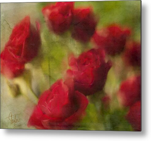Roses Metal Print featuring the photograph A Shower of Roses by Colleen Taylor