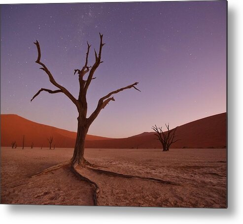 Naukluft Metal Print featuring the photograph African Lullaby by Mc