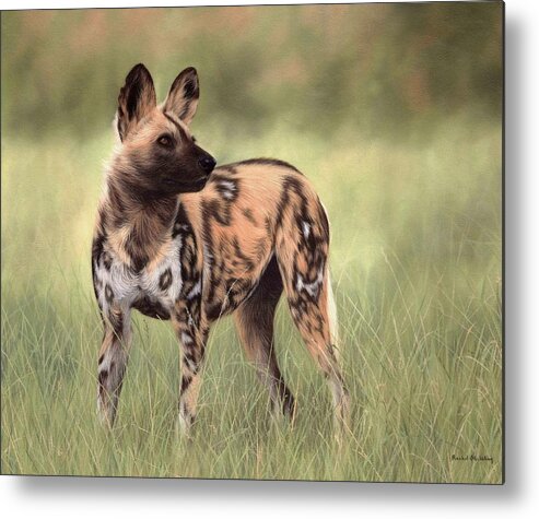 Wild Dog Metal Print featuring the painting African Wild Dog Painting by Rachel Stribbling