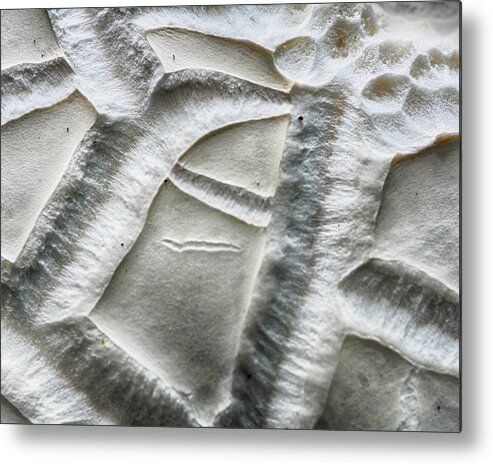 Macro Metal Print featuring the photograph Alien Surface by William Selander