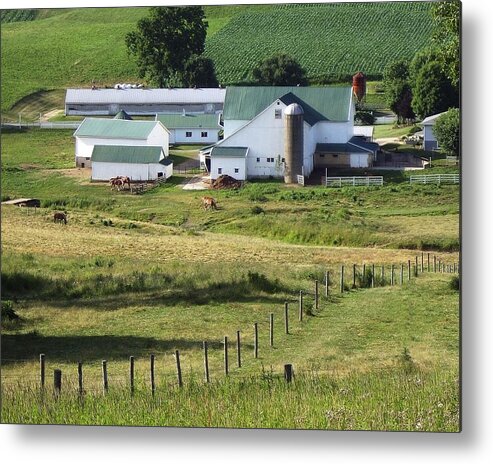 Amish Metal Print featuring the photograph Amish Farm by Steve Ondrus