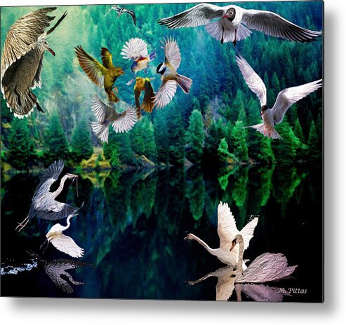 Birds Metal Print featuring the painting Ariel Squawkble by Michael Pittas