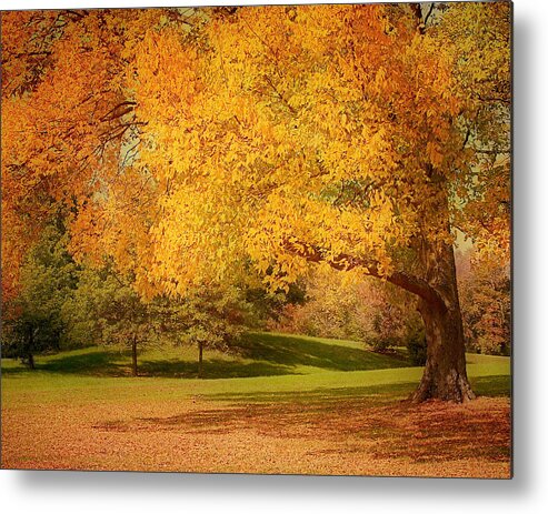 Autumn Metal Print featuring the photograph As The Leaves Fall by Kim Hojnacki