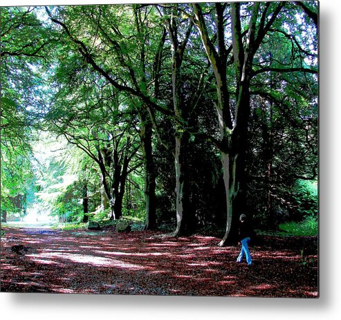 Walk Metal Print featuring the photograph At Peace with Nature by Norma Brock