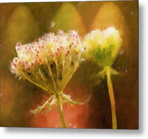 queen Anne's Lace Metal Print featuring the photograph Autumn Lace by Melinda Dreyer