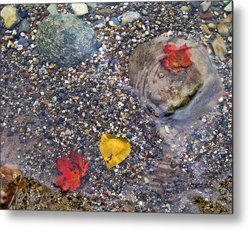 Autumn Metal Print featuring the photograph Autumn Leaves by Dean Ginther