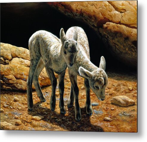Bighorn Metal Print featuring the painting Baby Bighorns by Crista Forest