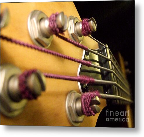 Bass Metal Print featuring the photograph Bass II by Andrea Anderegg