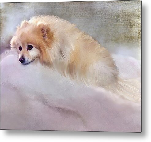 Dogs Metal Print featuring the pastel Bella Boo #2 by Colleen Taylor