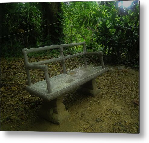 Tropical Metal Print featuring the photograph Bench by Jennifer Burley