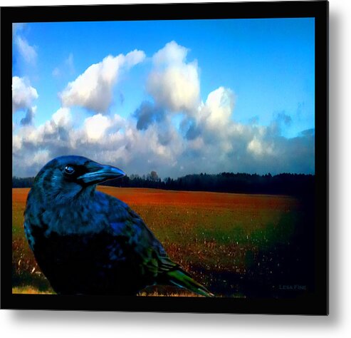 Crow Metal Print featuring the photograph BIG DADDY CROW SERIES Silent Watcher by Lesa Fine