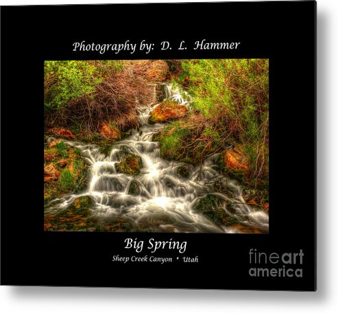Sheep Creek Canyon Metal Print featuring the photograph Big Spring by Dennis Hammer