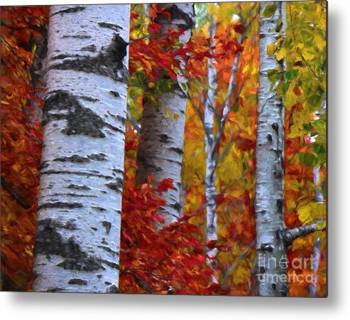 Autumn Metal Print featuring the photograph Birch Stand Autumn by Henry Kowalski