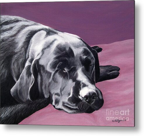 Dog Metal Print featuring the painting Black Labrador Beauty Sleep by Amy Reges