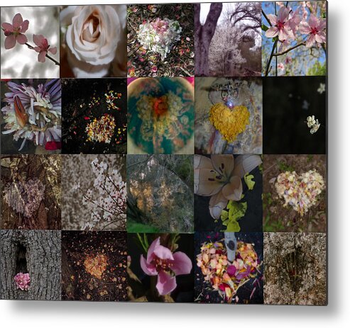 Blossoms; Bloom; Petals; Heart; Menorah; Trees; Holiday Card Metal Print featuring the photograph Blossom Rain I by Georg Kickinger