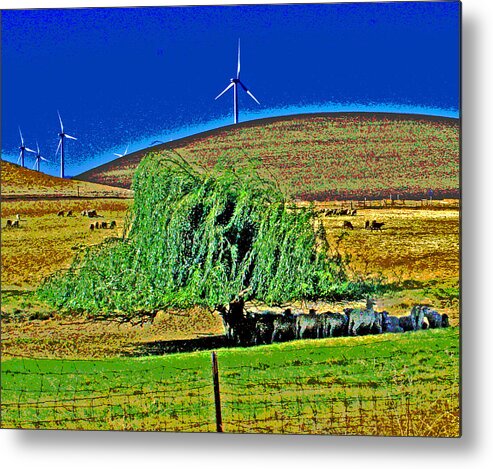 Blu Skys Metal Print featuring the photograph Blu Skys Shade and Sheep by Joseph Coulombe