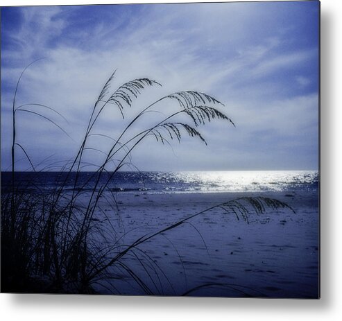 Blue Metal Print featuring the photograph Blue Beach by David and Carol Kelly