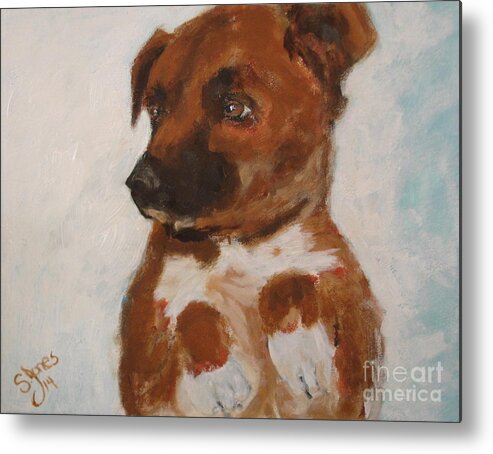 Dog Metal Print featuring the painting Bo Jack by Shelley Jones