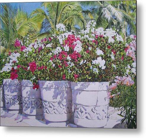 Flowers Metal Print featuring the mixed media Bougainvillea by Constance Drescher