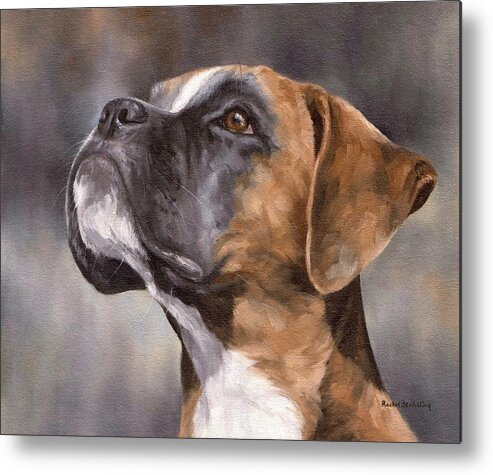 Boxer Metal Print featuring the painting Boxer Painting by Rachel Stribbling