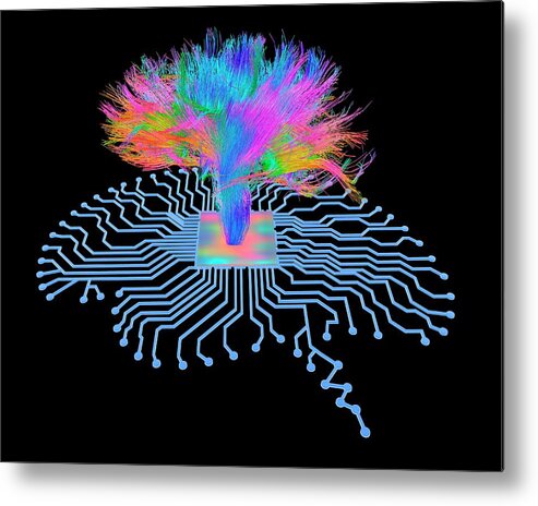 Artwork Metal Print featuring the photograph Brain Shaped Circuit Board With Fibres by Alfred Pasieka/science Photo Library