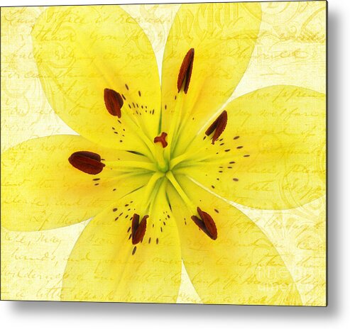 Lily Metal Print featuring the photograph Bright Spot In My Day by Kathi Mirto