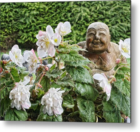 Begonia Metal Print featuring the photograph Budda and Begonias by Denise Romano