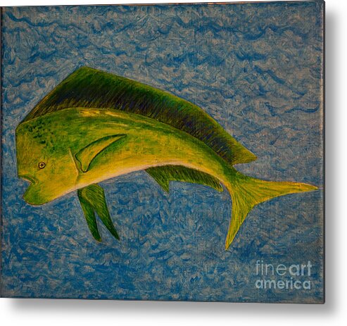 Fish Metal Print featuring the photograph Bull Dolphin MahiMahi Fish by Susan Cliett