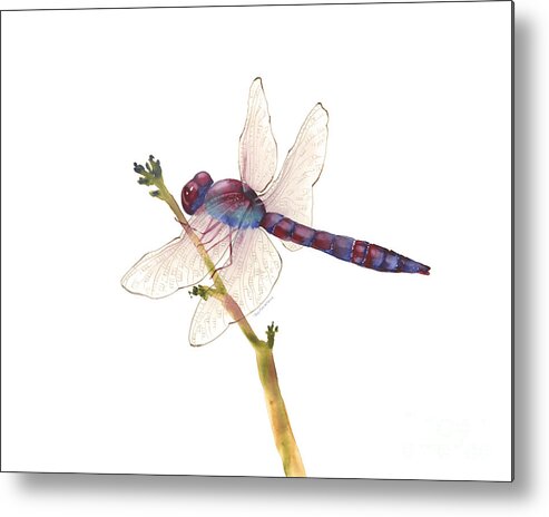 Red Metal Print featuring the painting Burgundy Dragonfly by Amy Kirkpatrick