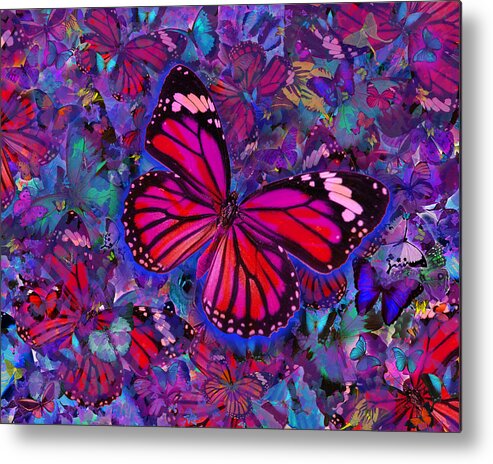 Alixandra Mullins Metal Print featuring the photograph Butterfly Red Explosion by MGL Meiklejohn Graphics Licensing