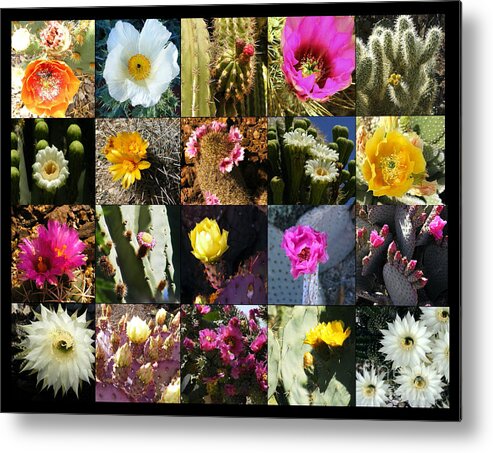 Flowers Metal Print featuring the photograph Cactus Collage by Marilyn Smith