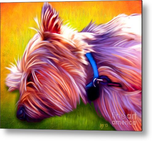 Dog Paintings Metal Print featuring the painting Cairn Terrier by Iain McDonald