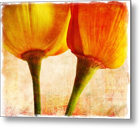 Flower Metal Print featuring the photograph California Poppies by Elena Nosyreva